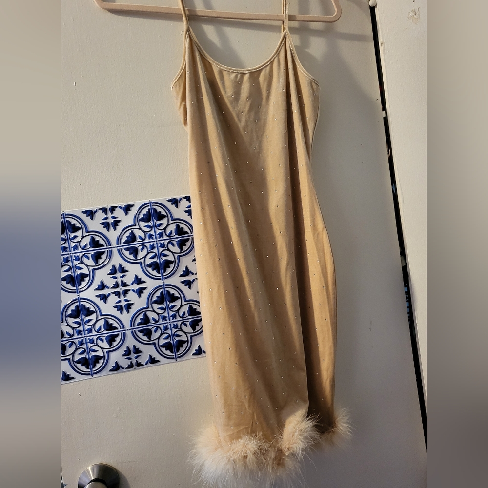 Beige Bedazzled dress Faux Fur
